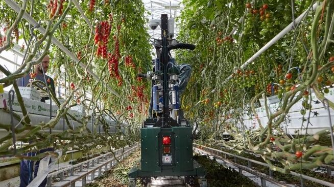 gr 100 robot tomate|gr 100 robot tomate|gr 100 robot tomate|gr 100 robot tomate